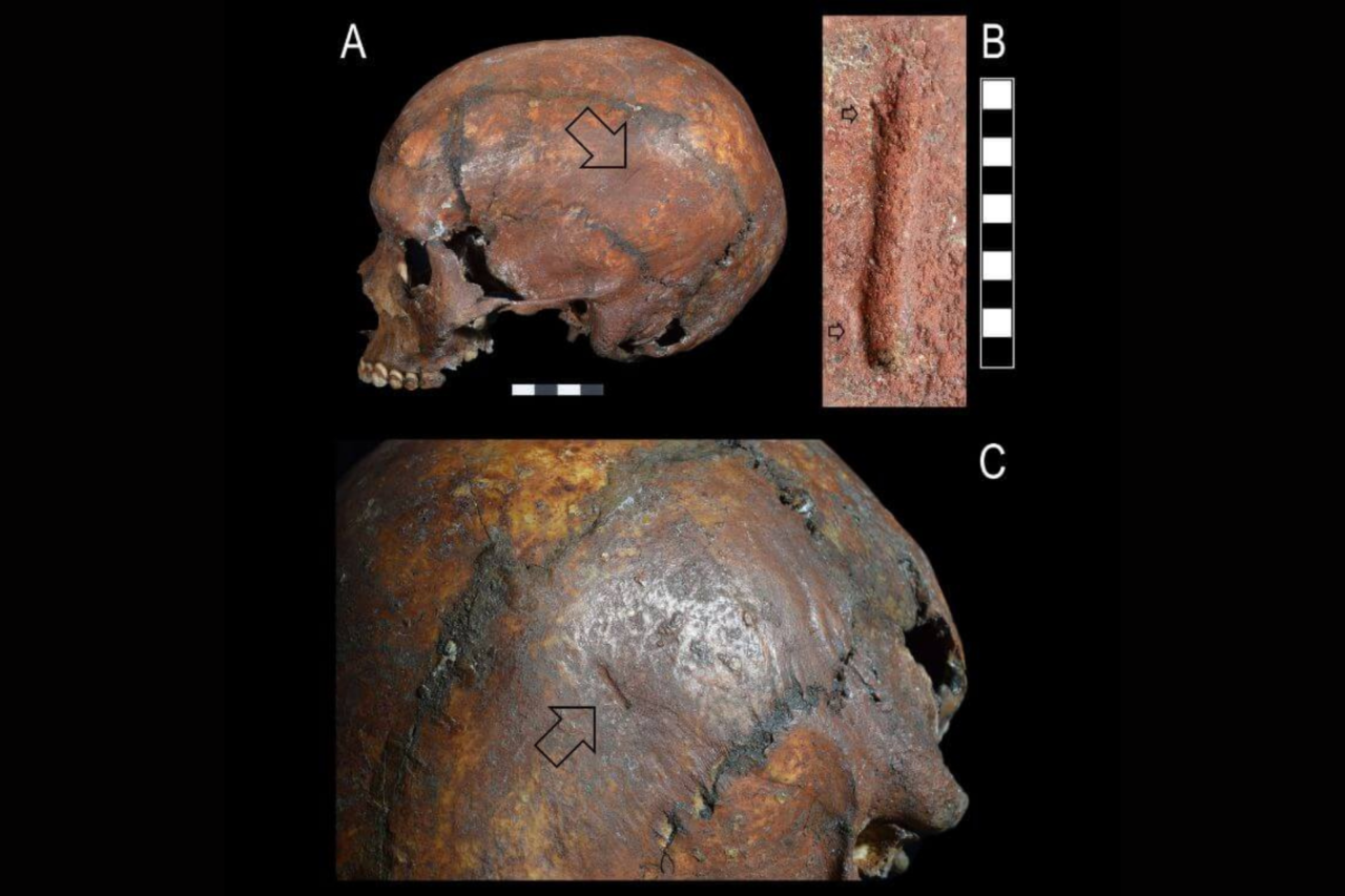 Adolescente do Paleolítico pode ter morrido após ataque de urso na Itália, aponta nova análise científica 3 Adolescente do Paleolítico pode ter morrido após ataque de urso na Itália, aponta nova análise científica