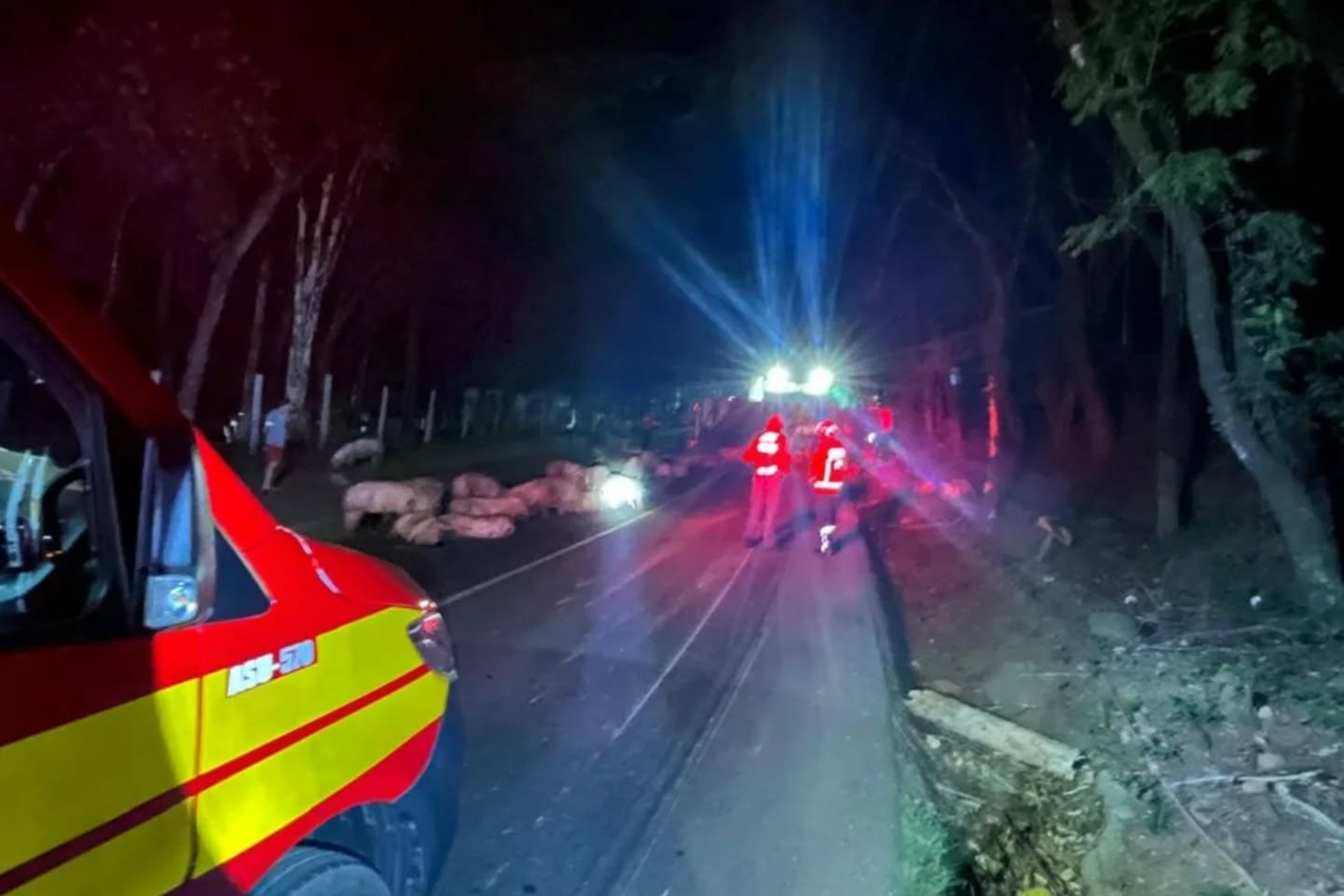 Caminhão tomba na SC-283 durante a madrugada em Caibi e mobiliza equipes de resgate 3 Caminhão tomba na SC-283 durante a madrugada em Caibi e mobiliza equipes de resgate