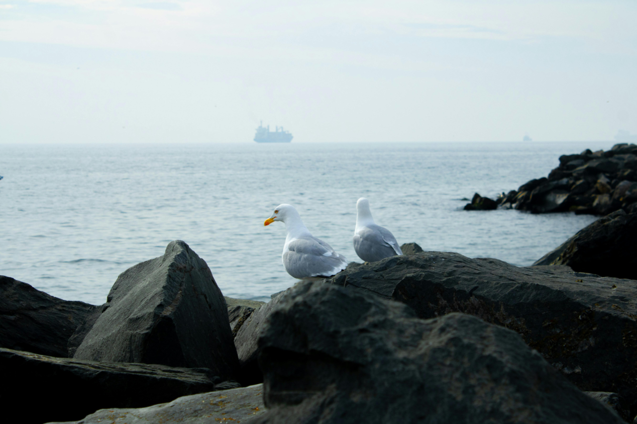 27 sinais da natureza que podem indicar tempestades, enchentes e desastres naturais 3 27 sinais da natureza que podem indicar tempestades, enchentes e desastres naturais