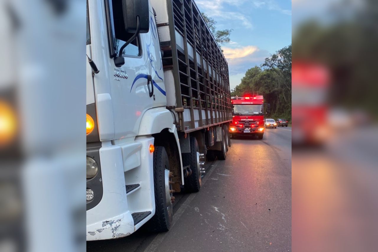 Colisão entre carro e caminhão termina em capotamento e deixa três feridos na BR-282 em Maravilha 3 Heloisa L 4 1