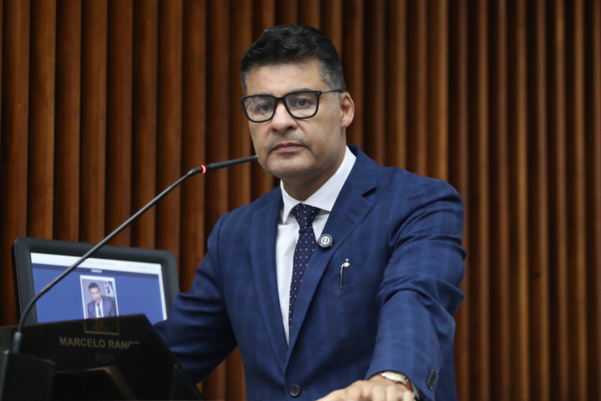 Projeto na Assembleia do Paraná propõe regras para reintrodução de animais urbanos 4 Projeto na Assembleia do Paraná propõe regras para reintrodução de animais urbanos