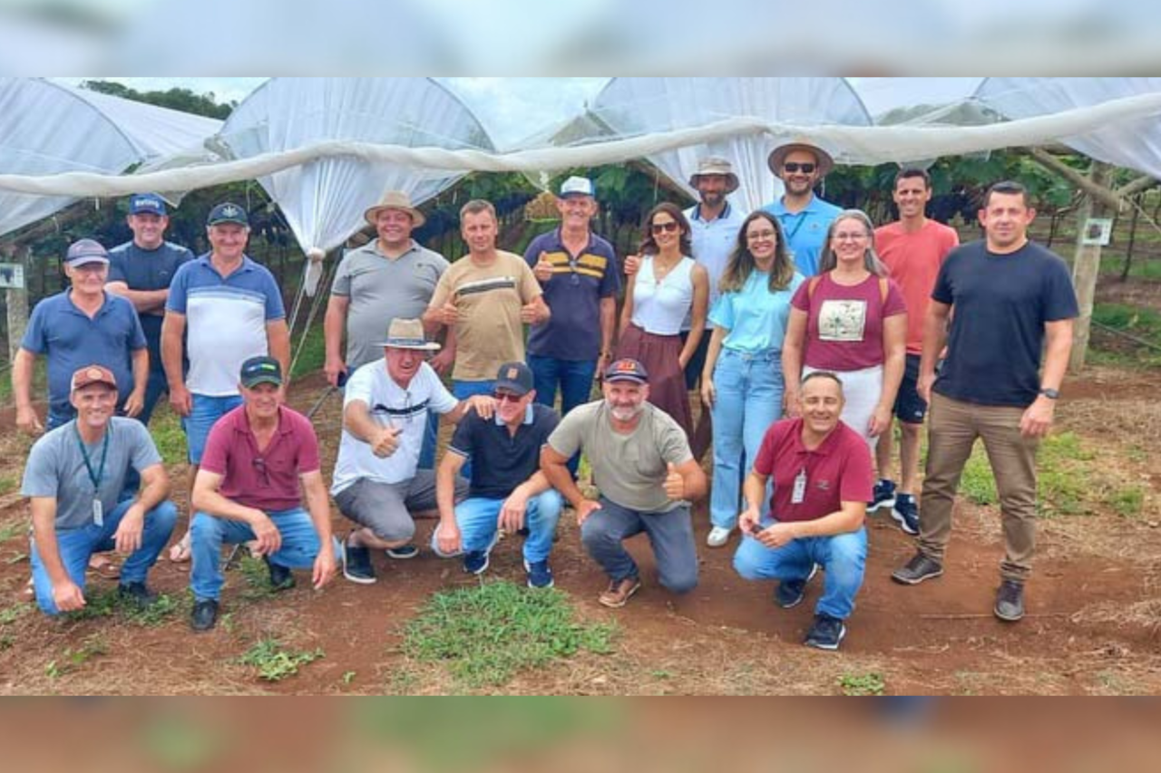 Comitiva de Guarujá do Sul participa de intercâmbio técnico em Videira 4 crys 50