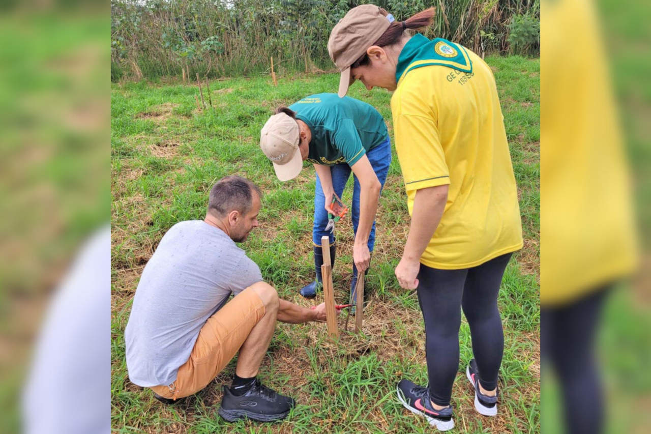Escoteiros realizam plantio de mudas no entorno do Lago Municipal de São José do Cedro 4 Grupo de escoteiros promove ação de plantio e replantio de mudas, com acompanhamento da Secretaria de Planejamento