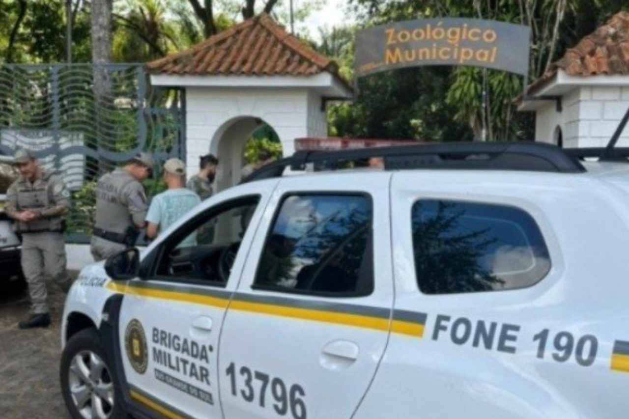 Homem é preso após invadir zoológico municipal e matar veado no RS 3 Suspeito foi detido após invadir o zoológico de Cachoeira do Sul (RS), matar um veado-campeiro e ferir outros dois animais. Caso é investigado pela Polícia Civil.