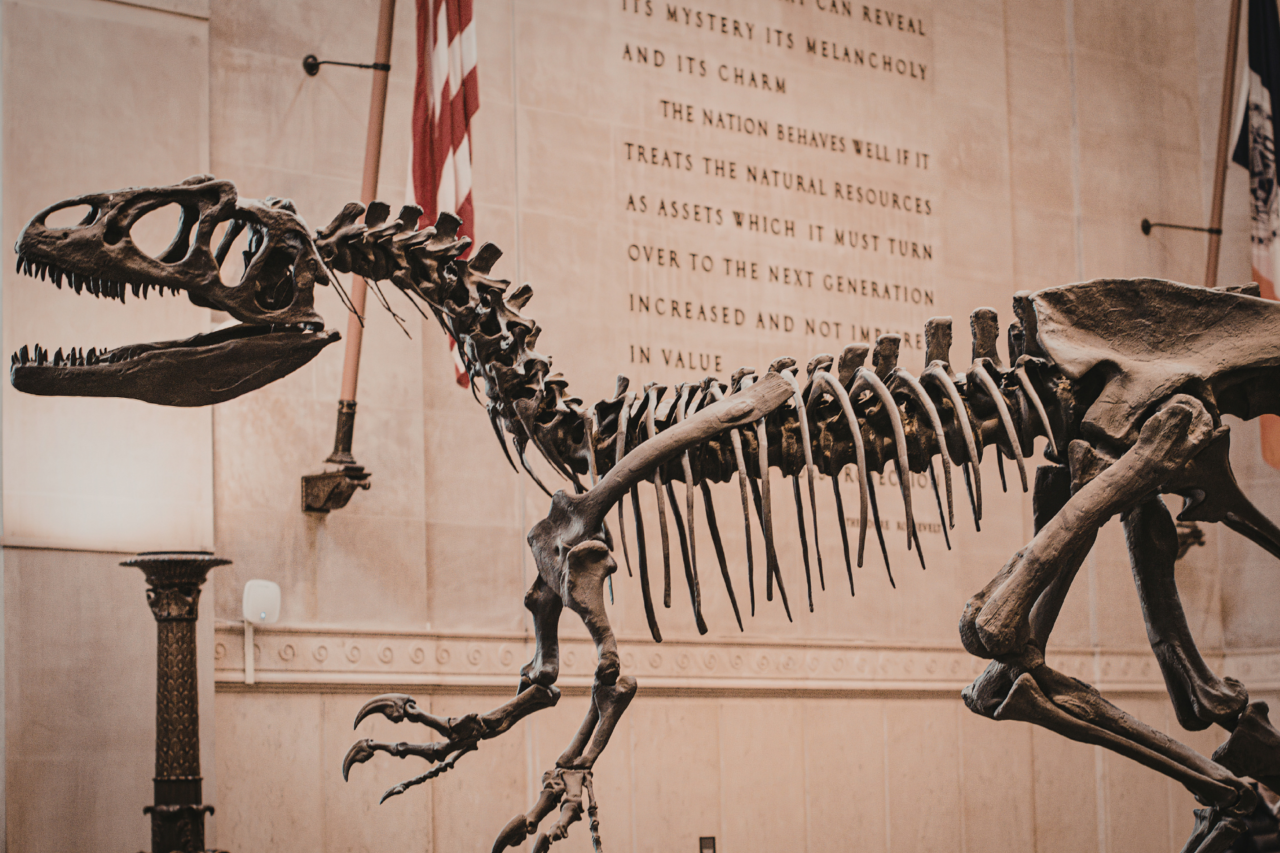 Qual é o dinossauro mais antigo já identificado? Fósseis do Brasil e da África lideram debate 3 Qual é o dinossauro mais antigo já identificado? Fósseis do Brasil e da África lideram debate