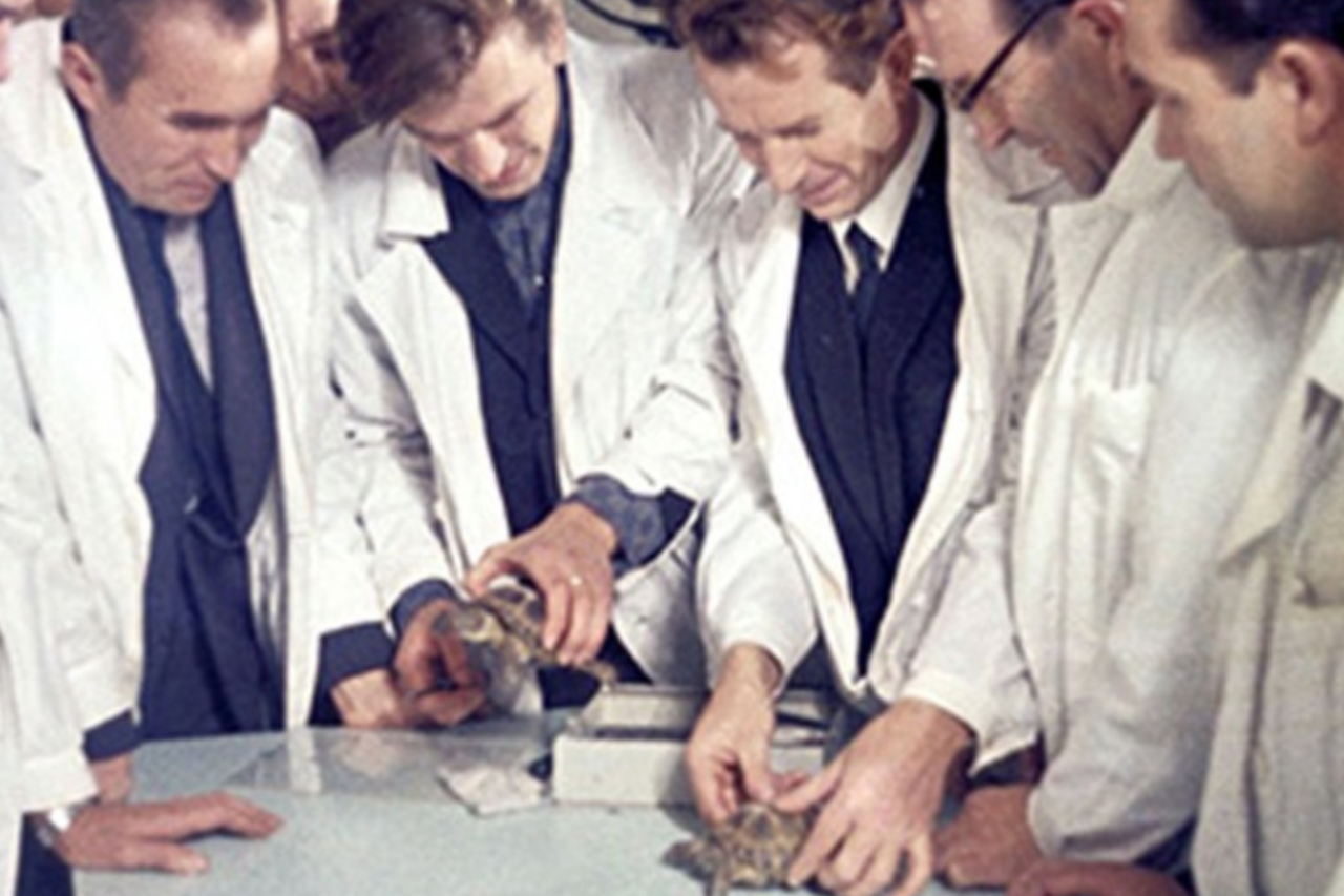 As tartarugas soviéticas que circundaram a Lua em 1968 e voltaram vivas à Terra 4 As tartarugas soviéticas que circundaram a Lua em 1968 e voltaram vivas à Terra