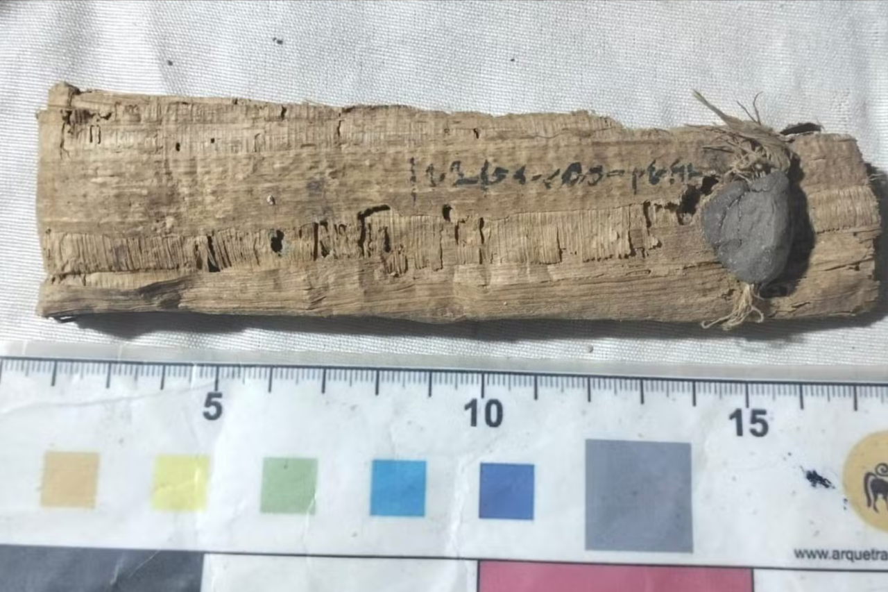 Arqueólogos descobrem 22 caixões com múmias ligadas ao culto do deus Amon em antiga necrópole do Egito 5 Arqueólogos descobrem 22 caixões com múmias ligadas ao culto do deus Amon em antiga necrópole do Egito