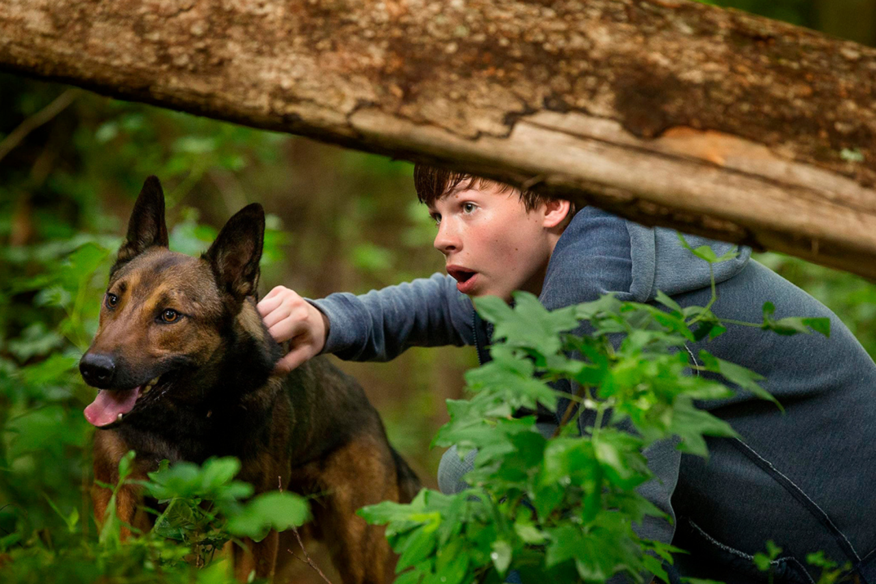 Filmes que vão passar da Sessão da Tarde nesta semana de 23 a 27 de março de 2026 6 Filmes que vão passar da Sessão da Tarde nesta semana de 23 a 27 de março de 2026