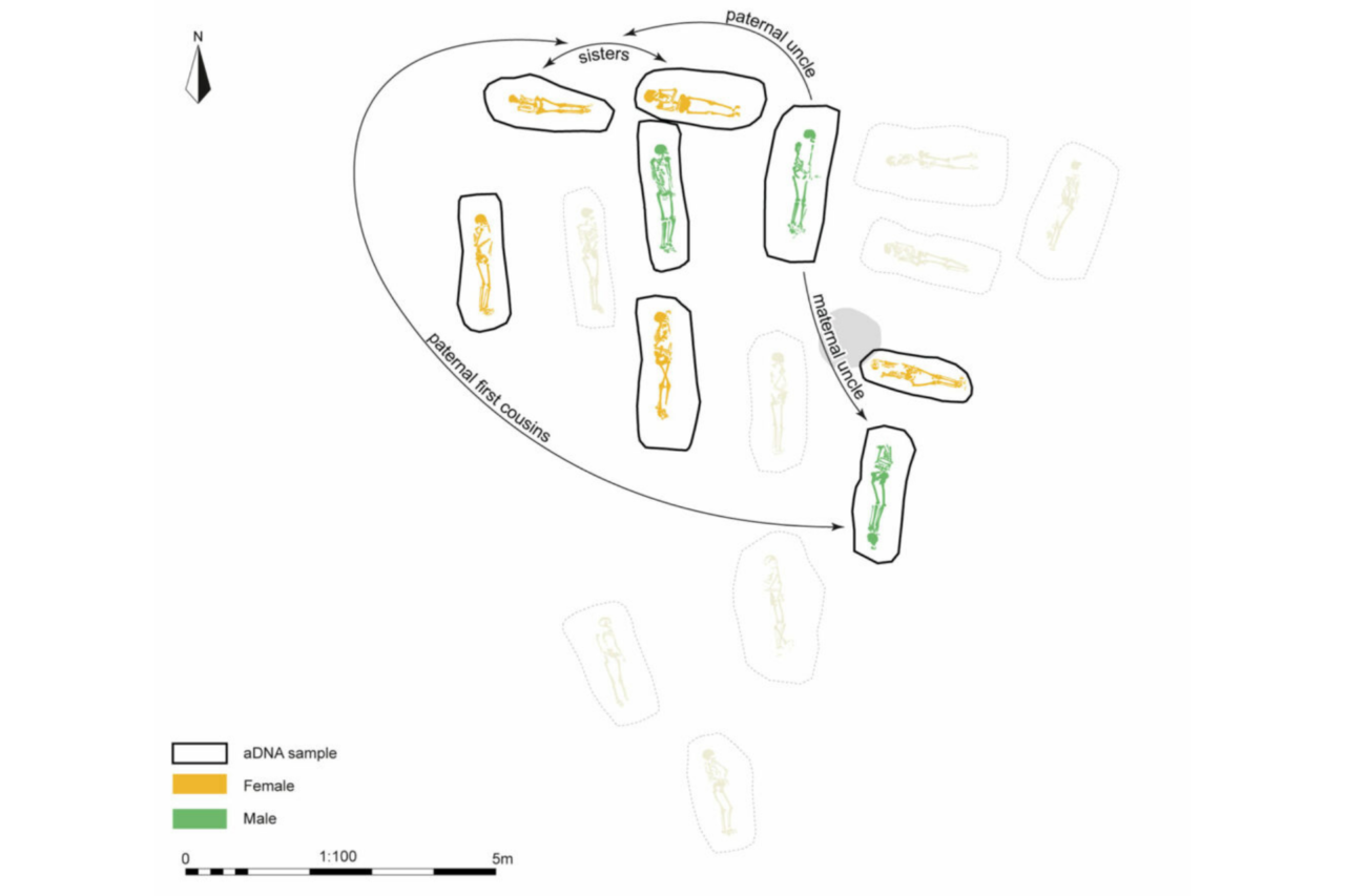 Análises de DNA revelam laços familiares em sepultamentos do período romano 3 Análises de DNA revelam laços familiares em sepultamentos do período romano