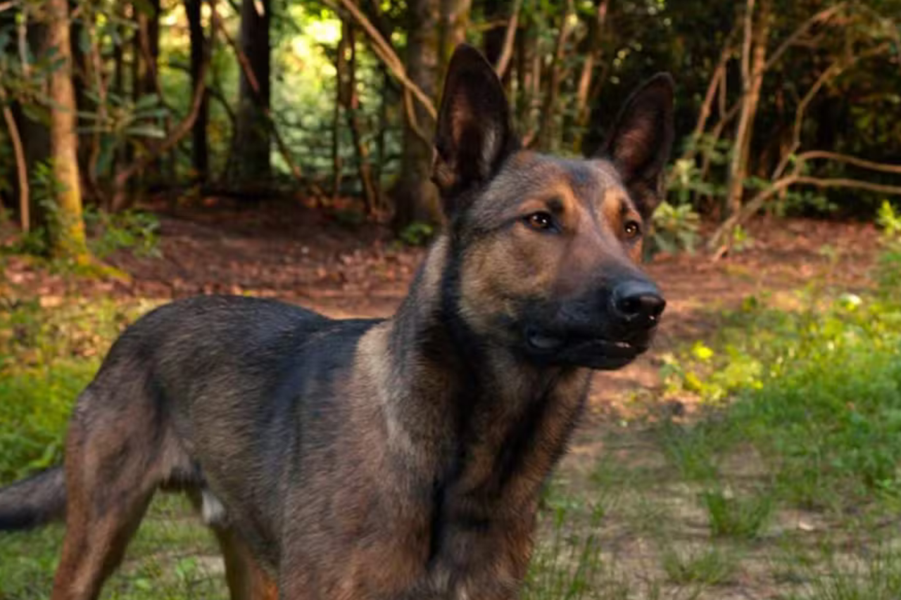 Filme que vai passar na Sessão da Tarde hoje (27/03/2026) 3 Filme que vai passar na Sessão da Tarde hoje (27/03/2026)