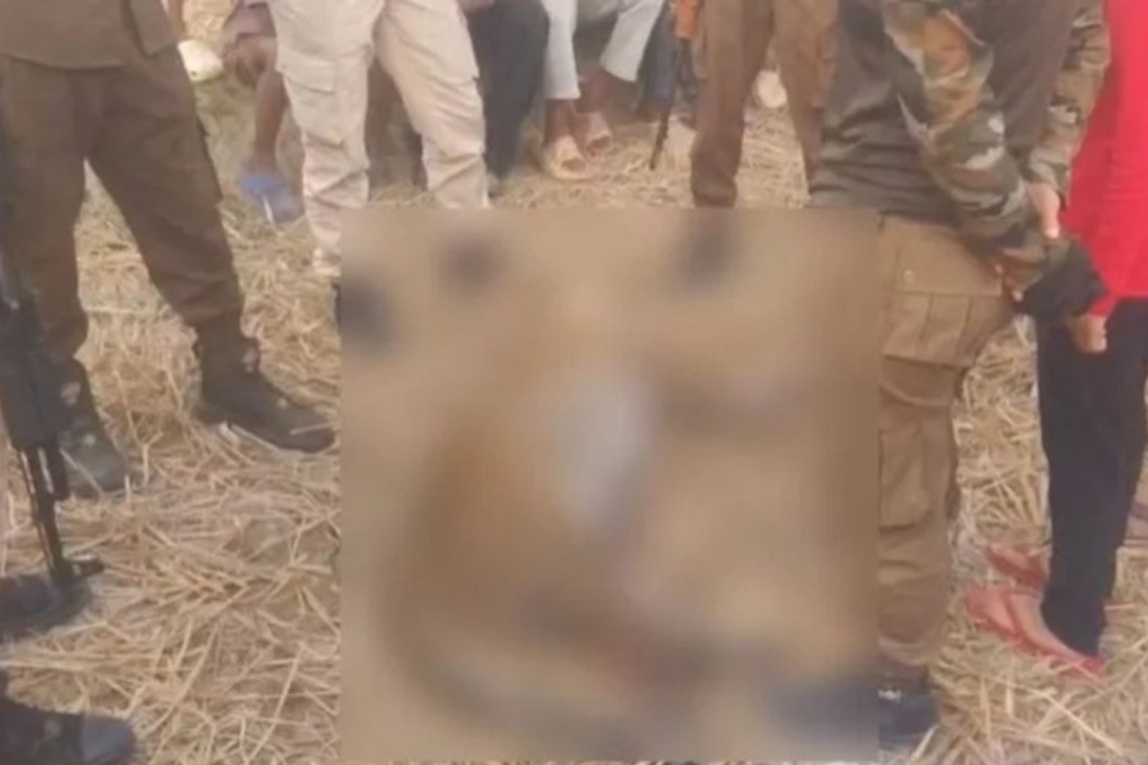 Leopardo é morto por moradores após ataques em Duliajan, na Índia 1 Leopardo é morto por moradores após ataques em Duliajan, na Índia