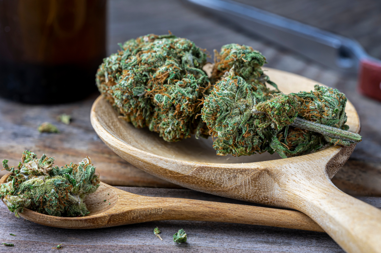 Estudo indica que canabidiol pode reduzir danos do Alzheimer, mas aplicação em humanos ainda é incerta 3 Estudo indica que canabidiol pode reduzir danos do Alzheimer, mas aplicação em humanos ainda é incerta