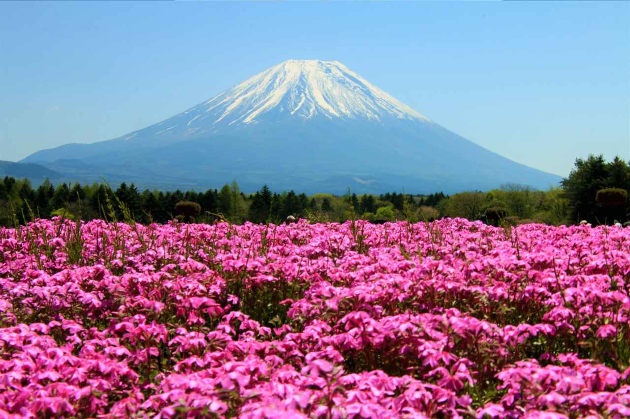 Monte Fuji: os segredos e curiosidades que fazem da montanha um dos símbolos mais fascinantes do Japão 4 Heloisa L 2026 04 13T145528.855
