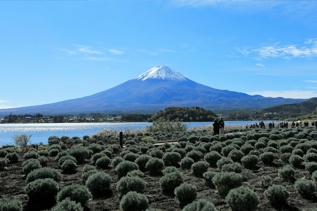 Monte Fuji: os segredos e curiosidades que fazem da montanha um dos símbolos mais fascinantes do Japão 5 Heloisa L 2026 04 13T145812.829