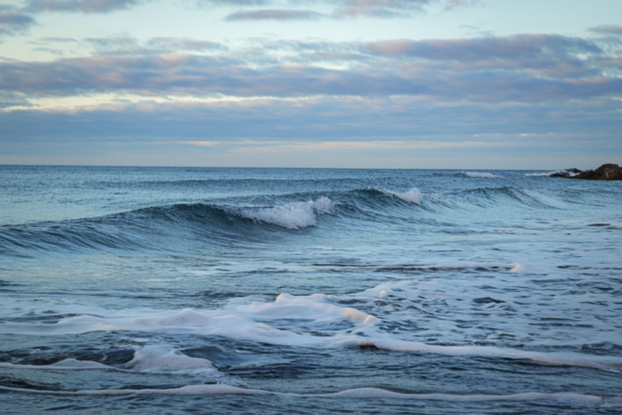 Idoso morre após salvar neto de afogamento no litoral do Paraná 10 Heloisa L 58 1