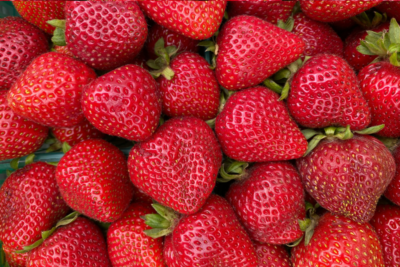 Truque com vinagre ajuda a conservar morangos por mais tempo na geladeira 3 Truque com vinagre ajuda a conservar morangos por mais tempo na geladeira
