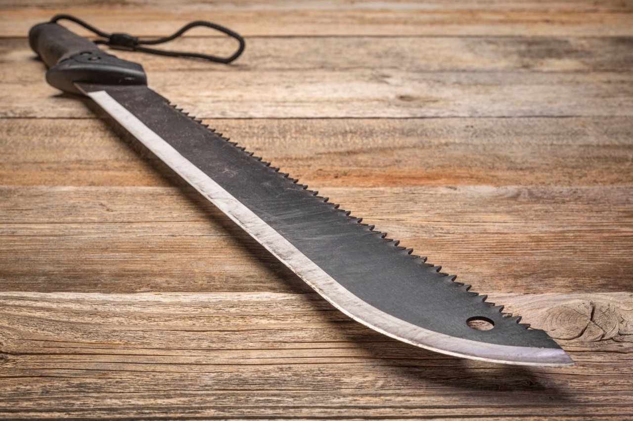 Ex-aluno invade escola municipal em Suzano com facão, fere professora e é detido; caso reacende debate sobre segurança nas escolas.