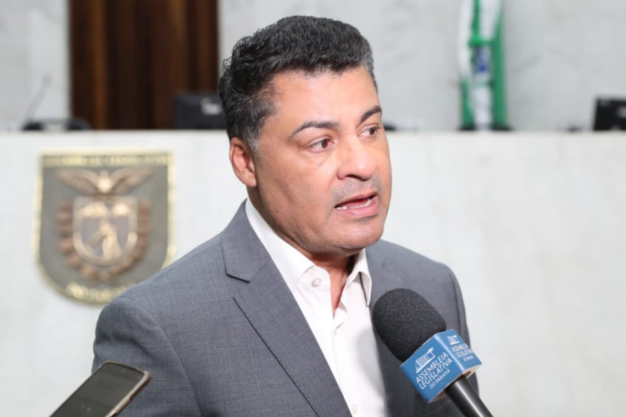 Projeto de lei propõe incluir animais em medidas protetivas contra violência doméstica no Paraná 3 Proposta apresentada na Assembleia Legislativa do Paraná prevê inclusão de animais de estimação em medidas protetivas para vítimas de violência doméstica.