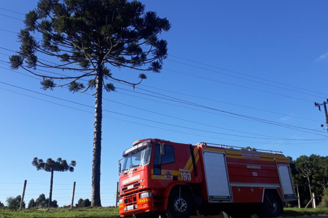 Colheita de pinhão registra aumento de ocorrências graves e acende alerta para riscos em Santa Catarina 3 Dados do Corpo de Bombeiros apontam aumento de acidentes durante a colheita de pinhão em Santa Catarina, com registros de quedas, choques elétricos e mortes.