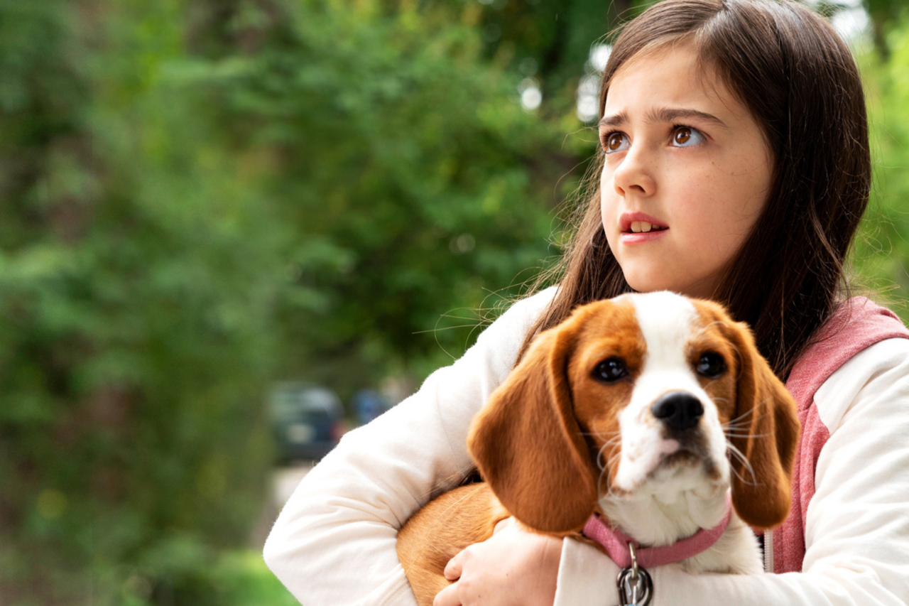 Filme que vai passar na Sessão da Tarde hoje (07/04/2026) 23 Filme que vai passar na Sessão da Tarde hoje (07/04/2026)