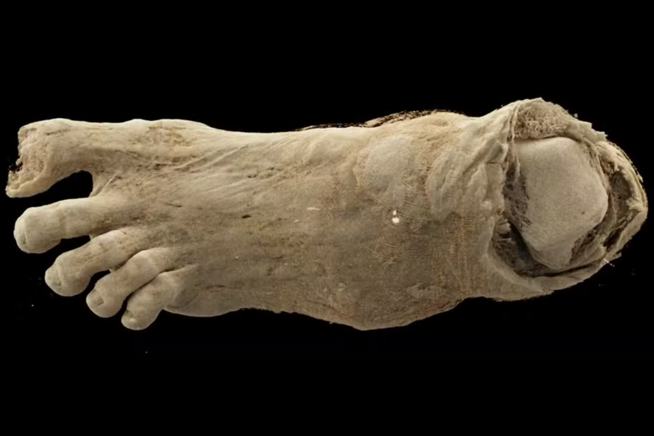 Tomografia revela detalhes inéditos de múmias egípcias 3 Tomografia revela detalhes inéditos de múmias egípcias