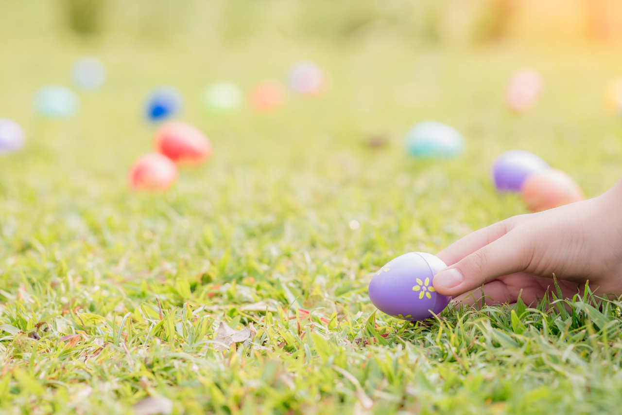 Queda de árvore durante caça de Páscoa deixa 3 mortos na Alemanha 1 Queda de árvore durante caça de Páscoa deixa 3 mortos na Alemanha