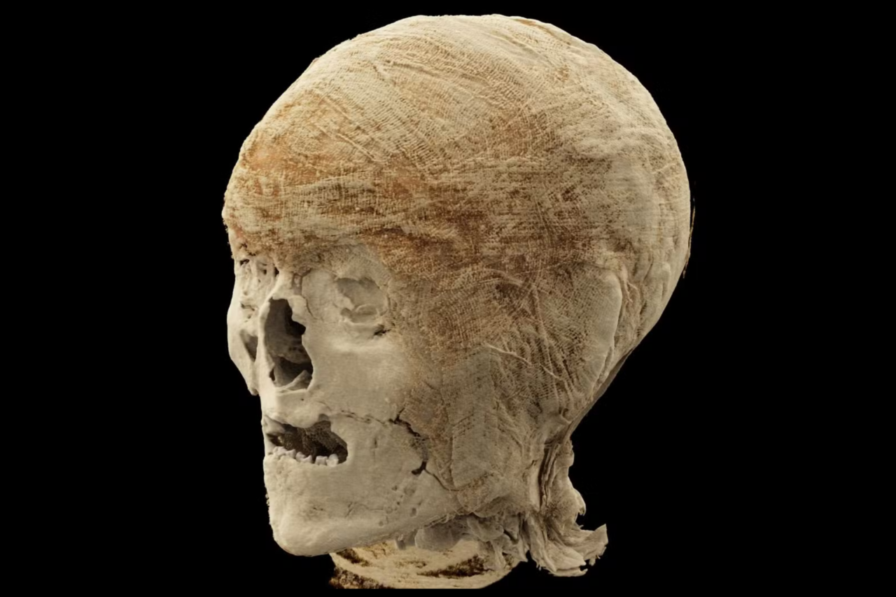 Tomografia revela detalhes inéditos de múmias egípcias 4 Tomografia revela detalhes inéditos de múmias egípcias