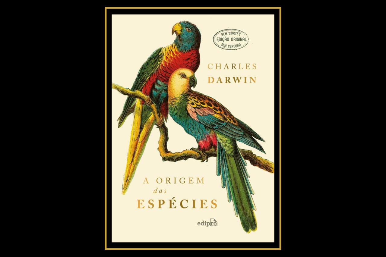 6 livros que Nietzsche odiava 5 6 livros que Nietzsche odiava