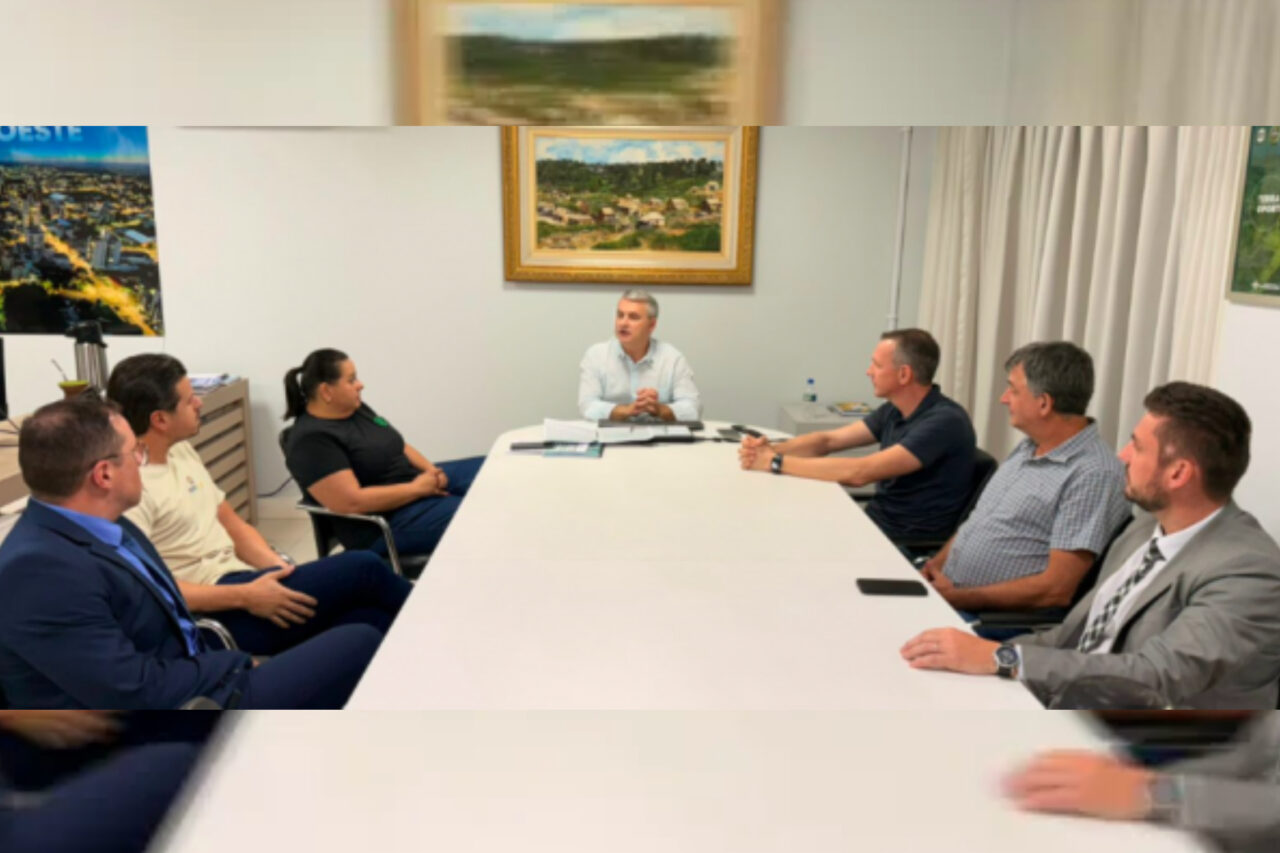 Havan recebe licenças ambientais e deve iniciar construção de megaloja em São Miguel Oeste 3 Loja da Havan será instalada às margens da BR-282 e promete atrair consumidores de toda a região, incluindo Argentina e Rio Grande do Sul