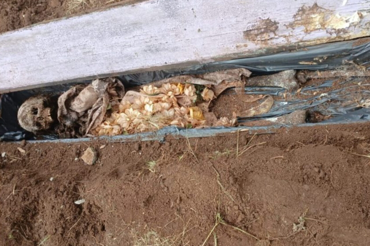 Inquilino tenta fazer horta e acaba desenterrando caixão com ossada humana 1 ythbr6r