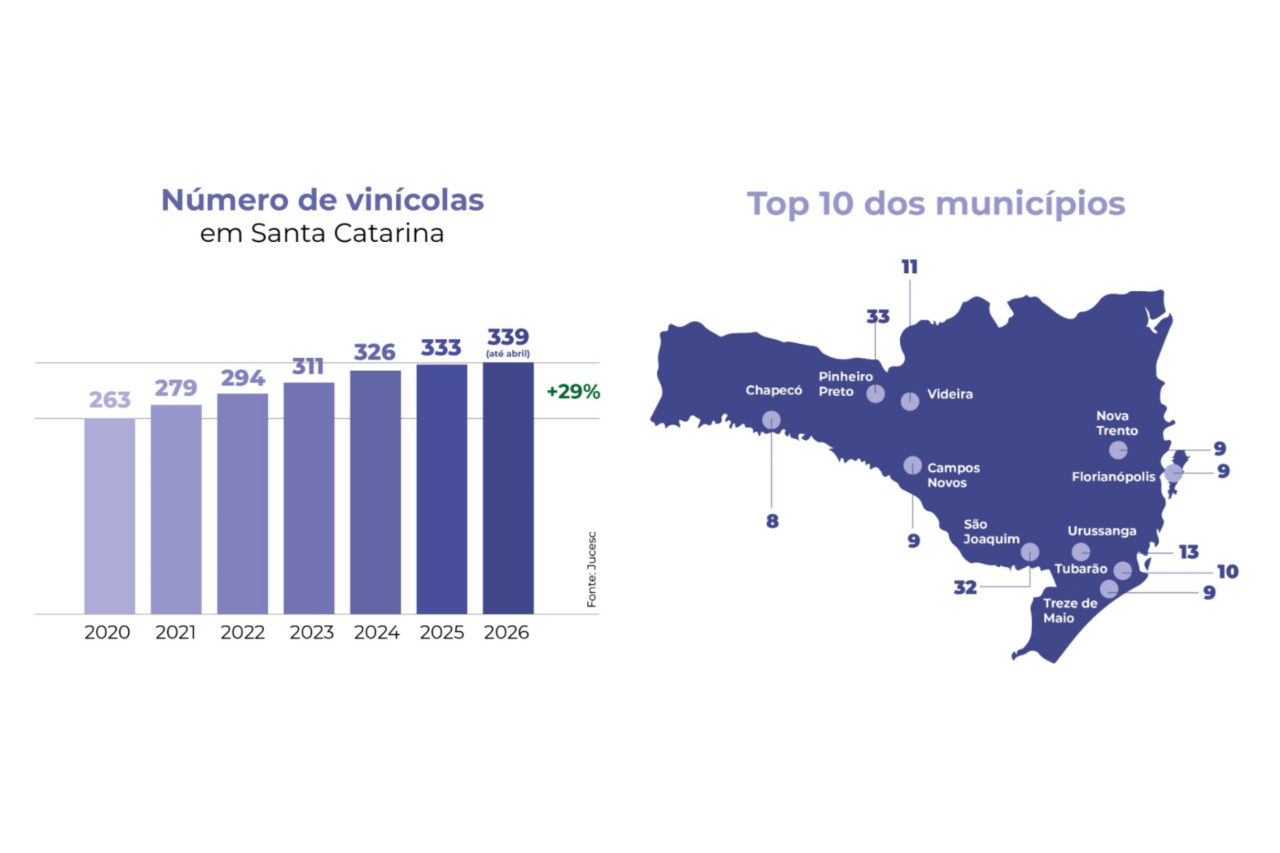 Santa Catarina amplia produção de vinhos e registra crescimento de 29% no número de vinícolas 3 Santa Catarina amplia produção de vinhos e registra crescimento de 29% no número de vinícolas