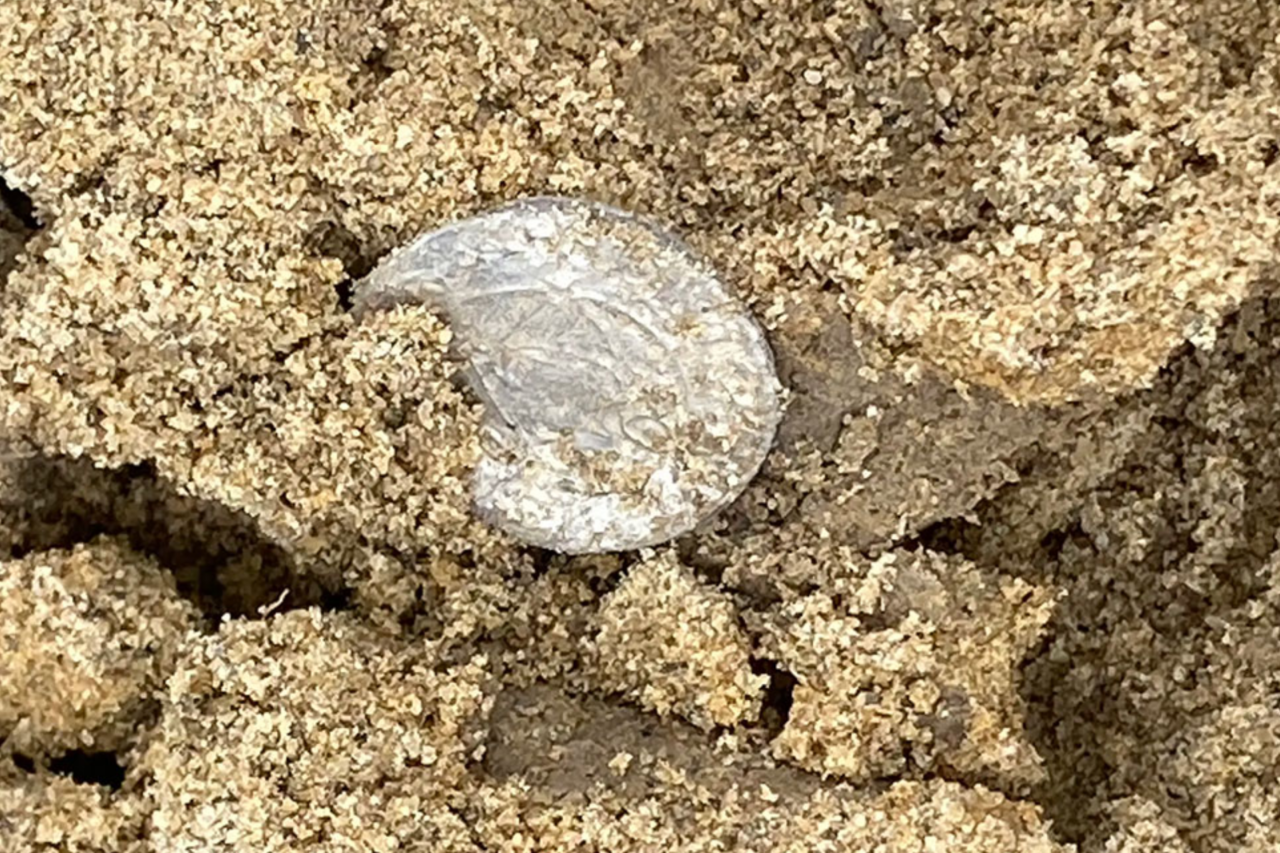 Tesouro com quase 5 mil moedas de prata é encontrado enterrado em campo na Noruega