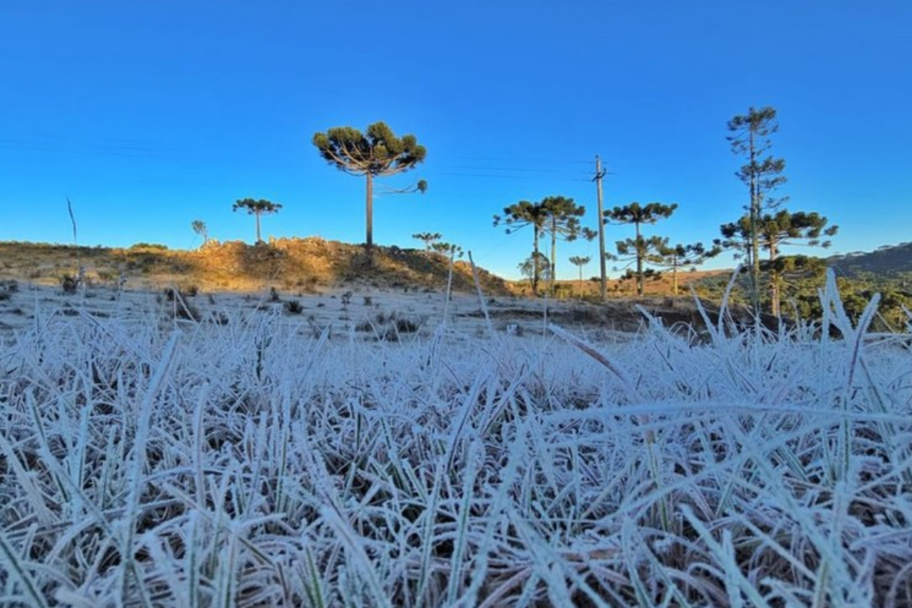 Frio não dá trégua: Sul registra mínimas negativas pelo terceiro dia seguido