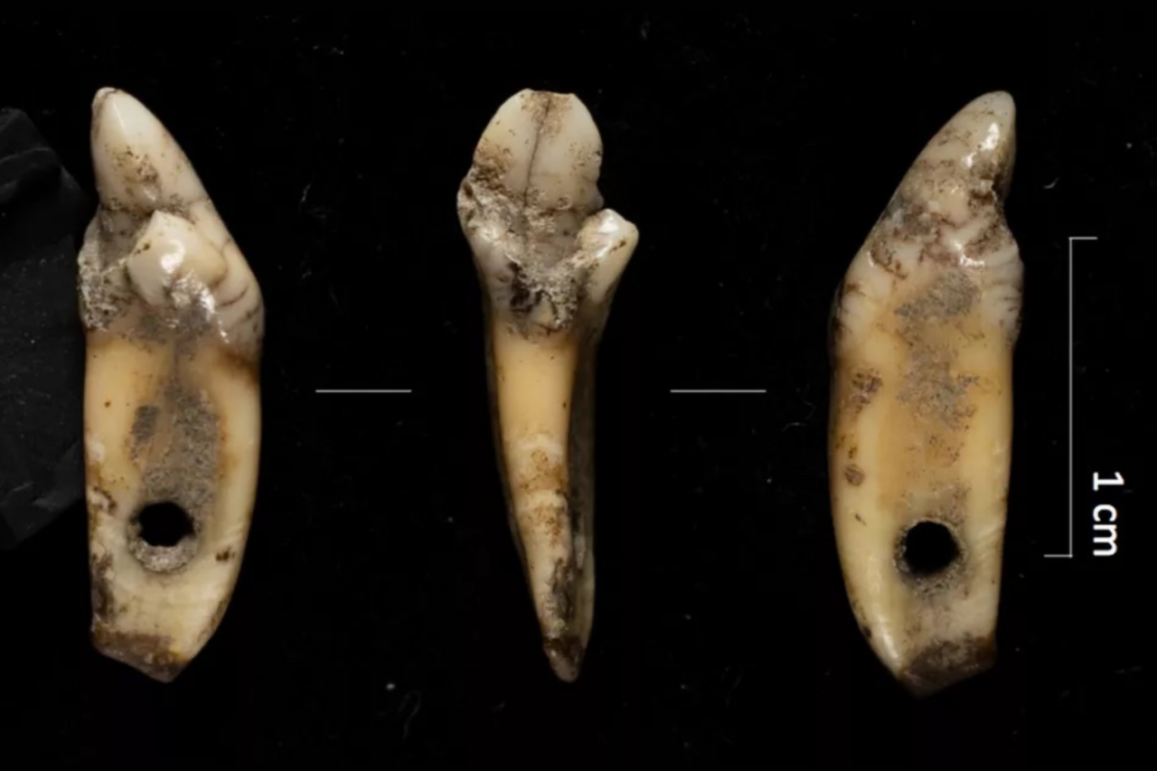 Caverna nos Pirineus revela presença humana em altitude extrema há até 7 mil anos 4 Caverna nos Pirineus revela presença humana em altitude extrema há até 7 mil anos