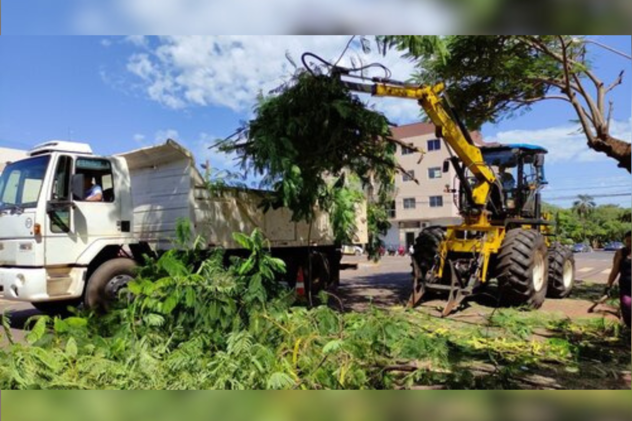 Solicita&ccedil;&atilde;o &eacute; de que os galhos e restos de vegeta&ccedil;&atilde;o sejam colocados na rua sempre perto do dia da coleta