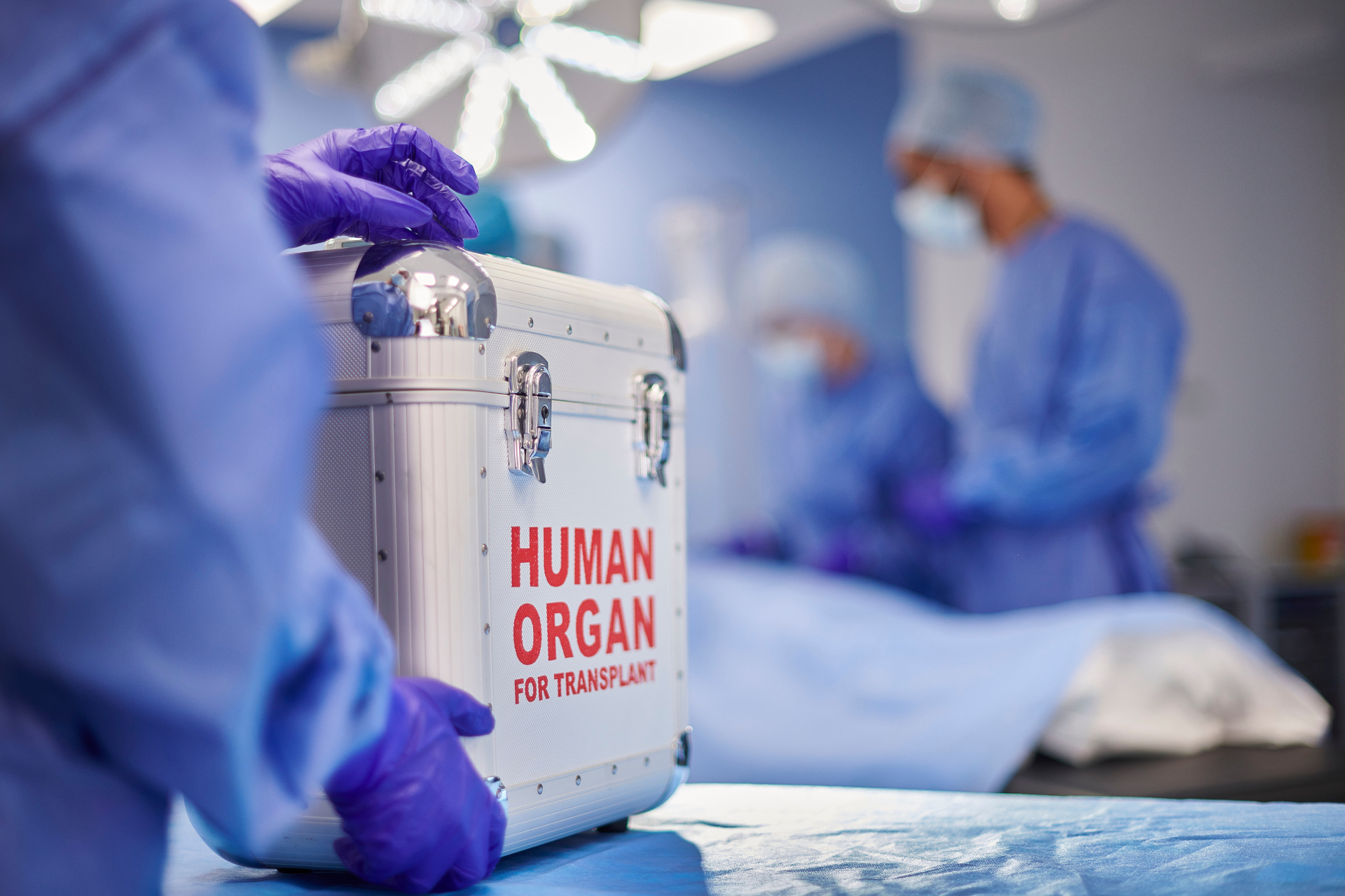 Paraná mantém destaque nacional em doação e transplante de órgãos, aponta relatório da ABTO 4 Paraná mantém destaque nacional em doação e transplante de órgãos, aponta relatório da ABTO