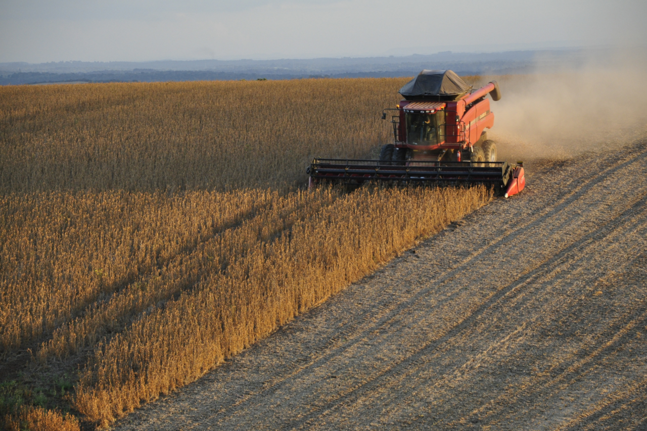 Exportações de soja elevam faturamento do Paraná para US$ 2,3 bilhões no primeiro quadrimestre 3 Exportações de soja elevam faturamento do Paraná para US$ 2,3 bilhões no primeiro quadrimestre