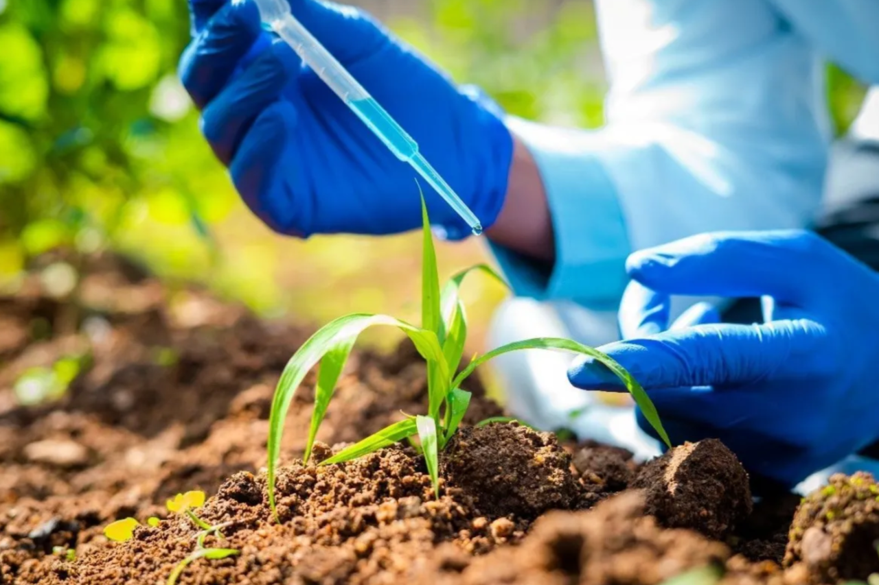 Mercado de fertilizantes especiais e biofertilizantes registra queda de 5,5% no faturamento em 2025 1 Mercado de fertilizantes especiais e biofertilizantes registra queda de 5,5% no faturamento em 2025