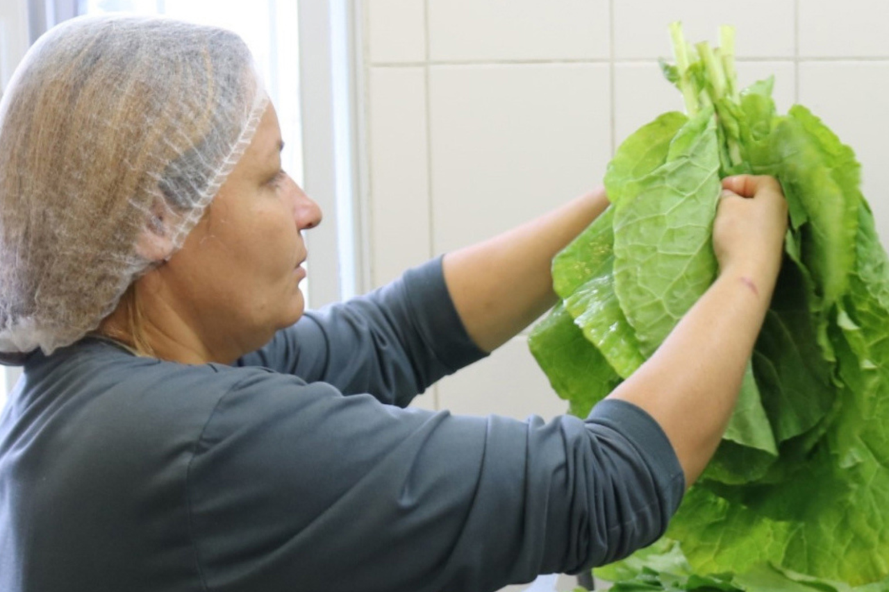 Paraná registra maior investimento da história em alimentos orgânicos para merenda escolar