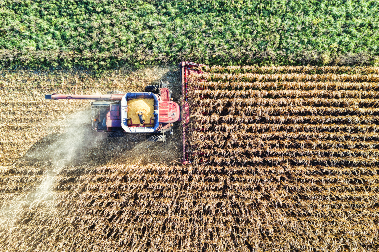 Paraná amplia produção de etanol de milho e projeta crescimento de 71% no próximo ciclo 3 Paraná amplia produção de etanol de milho e projeta crescimento de 71% no próximo ciclo