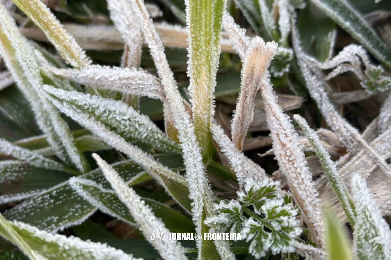 Frio de 2°C e geada cobrem Barracão nesta quarta-feira (24) 6 1 3