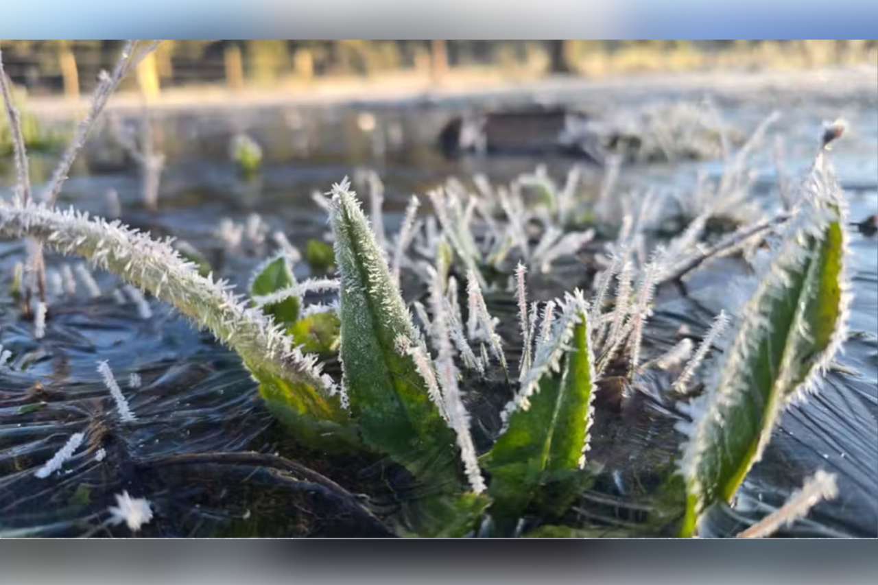 Santa Catarina registra -9,1°C e tem 22 cidades com temperaturas negativas 3 Heloisa L 2026 06 24T101621.330