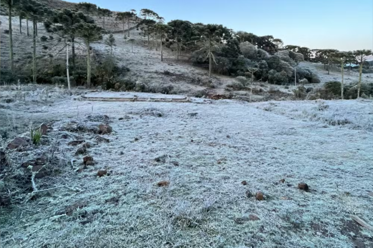 Santa Catarina registra -9,1°C e tem 22 cidades com temperaturas negativas 7 Heloisa L 2026 06 24T101911.566