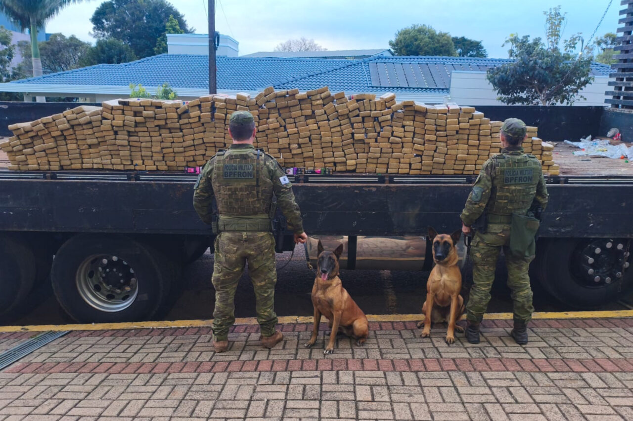 Carga de reciclagem escondia mais de meia tonelada de maconha 3 A equipe de operação com cães então entrou em ação, sendo que de imediato os cães indicaram a presença de entorpecente em meio a carga
