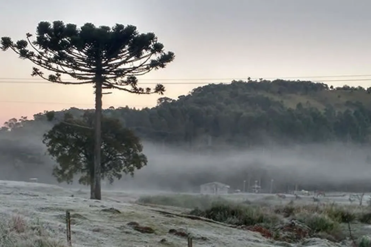 Primeira onda de frio do inverno pode trazer chance de neve e geadas amplas no Sul do Brasil 11 helo 102