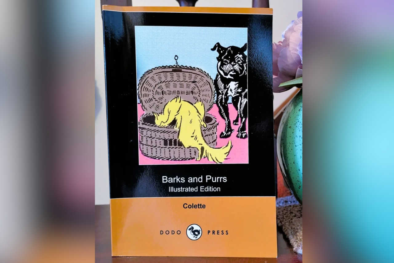 Kiki de Colette em Barks and Purrs expõe ego felino 1 helo 2026 06 19T154952.772