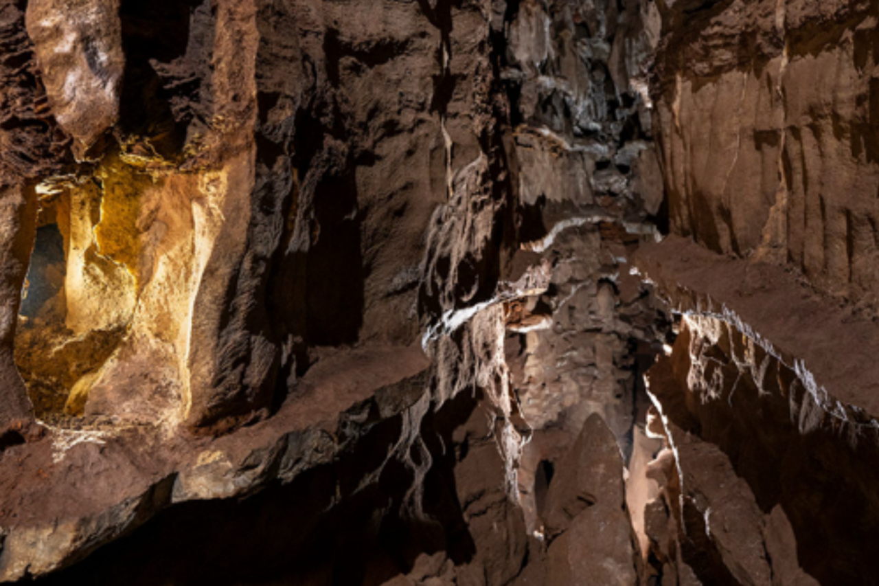 Dentes de 300 mil anos revelam que Homo naledi encontrados em caverna eram fêmeas