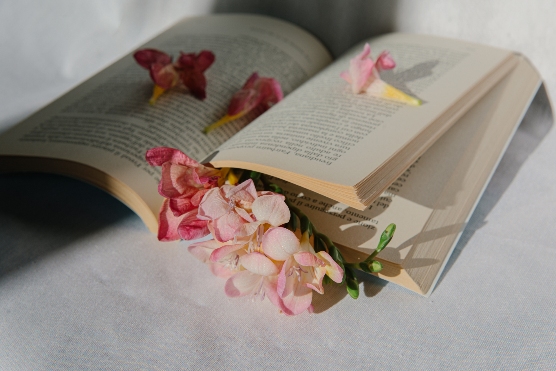 De Jane Austen a Carolina Maria de Jesus: livros escritos por mulheres que todos deveriam ler