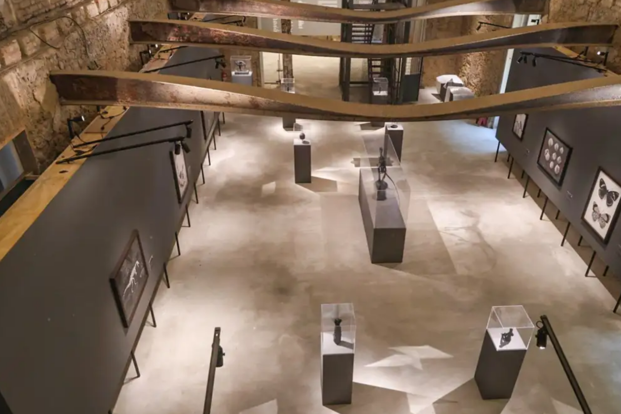 Museu Nacional inaugura duas exposições em comemoração aos 208 anos 23 helo 4 4