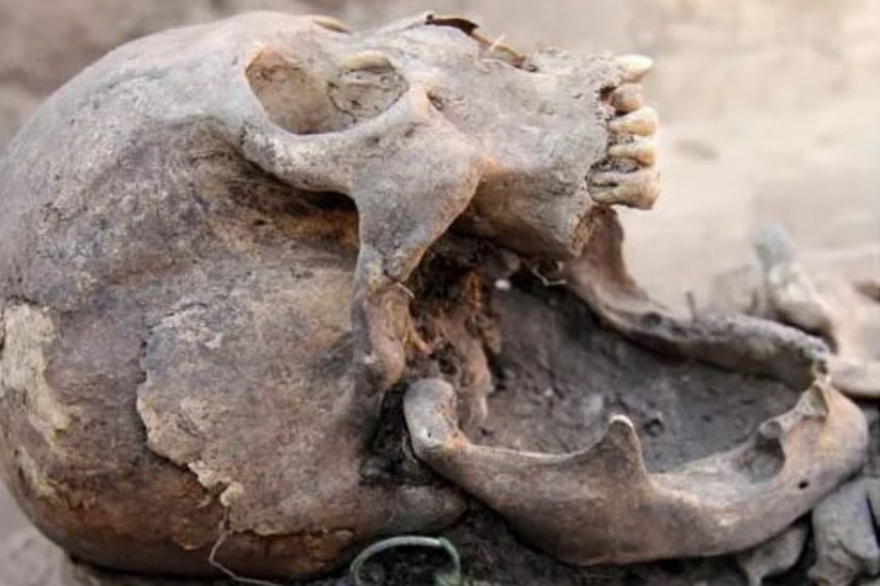 Sepultura medieval na Sibéria revela objetos raros e restos de animais 37 Sepultura medieval na Sibéria revela objetos raros e restos de animais